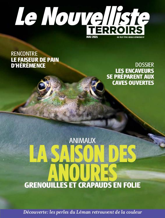 JOURNAL DIGITAL Le Nouvelliste